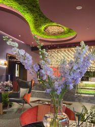 -花隐·美芙炫海菲秀皮肤管理中心