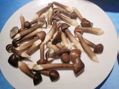 -千岛蚝高压锅生蚝·人参火锅(白云万达店)