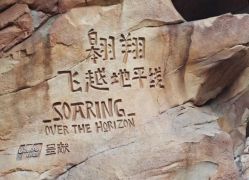 -翱翔飞越地平线