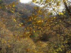-北京上方山国家森林公园