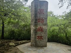 -大青沟风景区