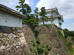 -名古屋城