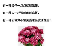 -幸福蓝海国际影城(烟台大悦城IMAX店)