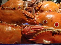 -星河湾半岛酒店·意咖啡西餐厅