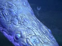 -青岛海底世界-水族馆