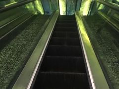 -水森林·按摩SPA·美食韩式汗蒸水会(国贸E口店)