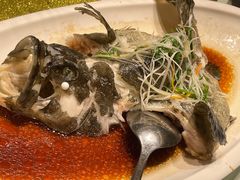 -云庭汇·粤菜海鲜(东盟盛天地店)