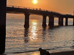 -演武大桥观景平台