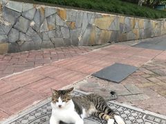 -龙头寺公园