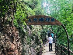 -天女山森林公园