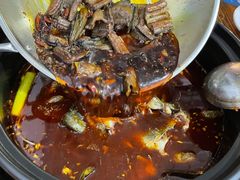 -金海椒罐罐鲢鱼(东方桂苑店)