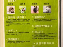-宠物兔专门店(天丰利市场店)