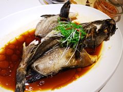 -人杰鱼乐轩(珠江路店)