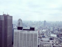-东京都厅舍