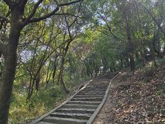 -上海佘山国家森林公园天马山园