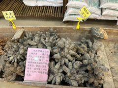 -台山第一家兴华黄鳝饭·黄鳝婆(合水分店)