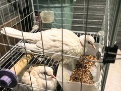 -谜·沉浸侦探剧本杀推理馆(静安店)