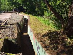 -珍宝岛