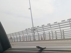 -杭州湾海上花田景区