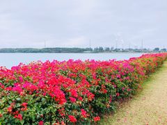 -露天矿生态公园