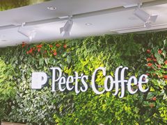 -Peet's Coffee皮爷咖啡(大学路店)