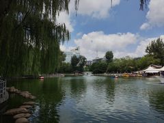 -莲湖公园