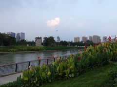 -府河摄影公园