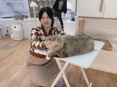 -COLOR PETS 撸猫馆·购猫·猫咖(长风大悦城店)