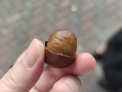 -方林富炒货店(西溪路78号本人店)