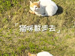 -金桥湾南二小区