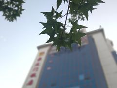 -北京崇文门饭店