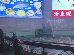 -楚鱼王·河鲜·湖北菜(华农店)