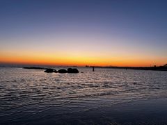 -田记自助海鲜饺子