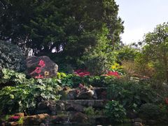 -乌山风景区