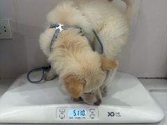 -博特宠物医院24h犬猫全科.骨科·异宠