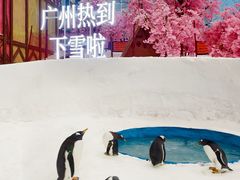 -广州热雪奇迹