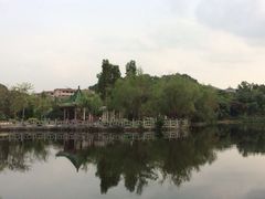 iphone_upload_pic-大屏嶂森林公园