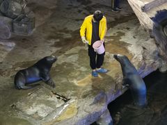 -西安曲江海洋极地公园