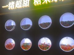 -一绪に和牛寿喜烧(罗湖益田假日店)