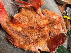 -桐寿司Sushi Tong