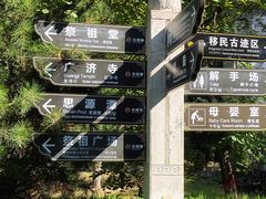 -大槐树寻根祭祖园