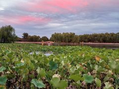 -小王府(什刹海店)
