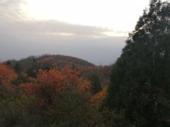 -鬼笑石后山停车场