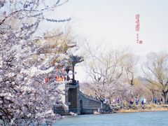 -颐和园
