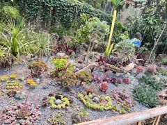 -中国科学院西双版纳热带植物园