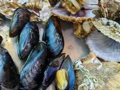 -渔家大院·地道威海菜(石岛店)