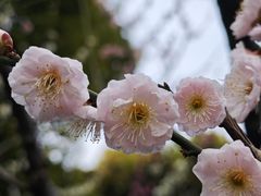 -静安雕塑公园