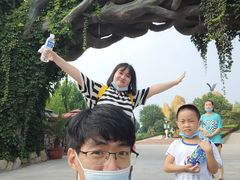 -辛玛王国游乐园