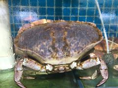 元宝蟹-87号烧烤海鲜·大排档(金沙滩店)