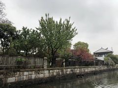 -状元楼(金溪路店)